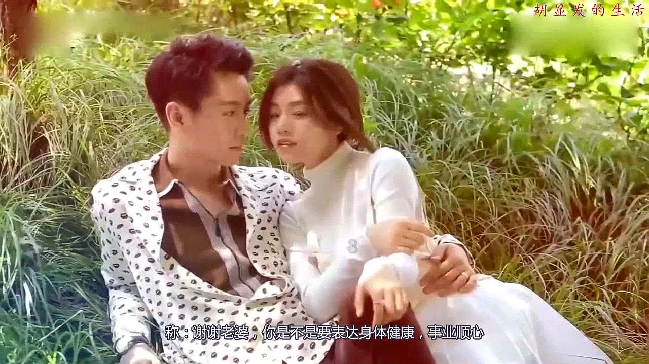 动物帮帮忙保卫家园