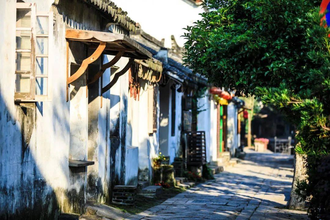 来无锡人酿米酒的秘方,简单几步,就能做出醇香浓郁的米酒,与蜗牛畅谈